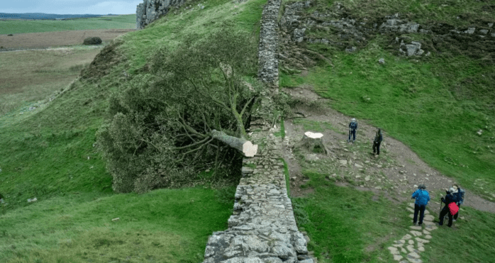 Screenshot 2023-09-28 at 19.22.19.png